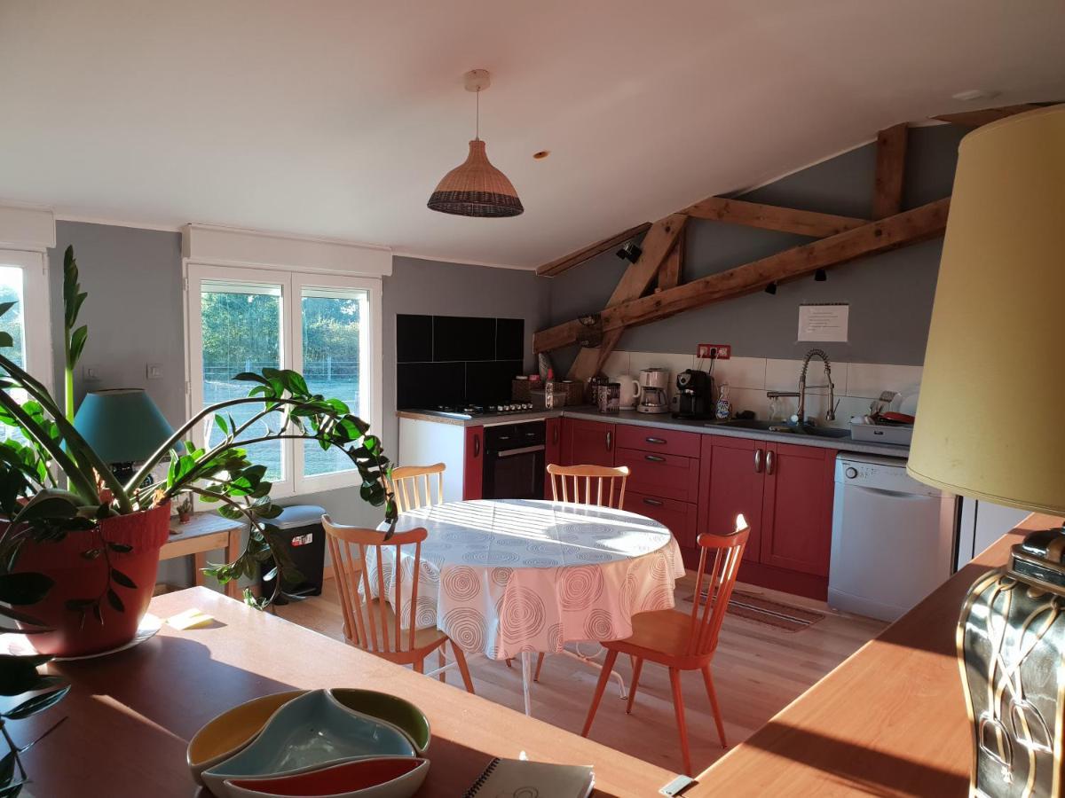 Chambre D'Hote De L'Elevage Du Lattay Les Hauts-d'Anjou Экстерьер фото